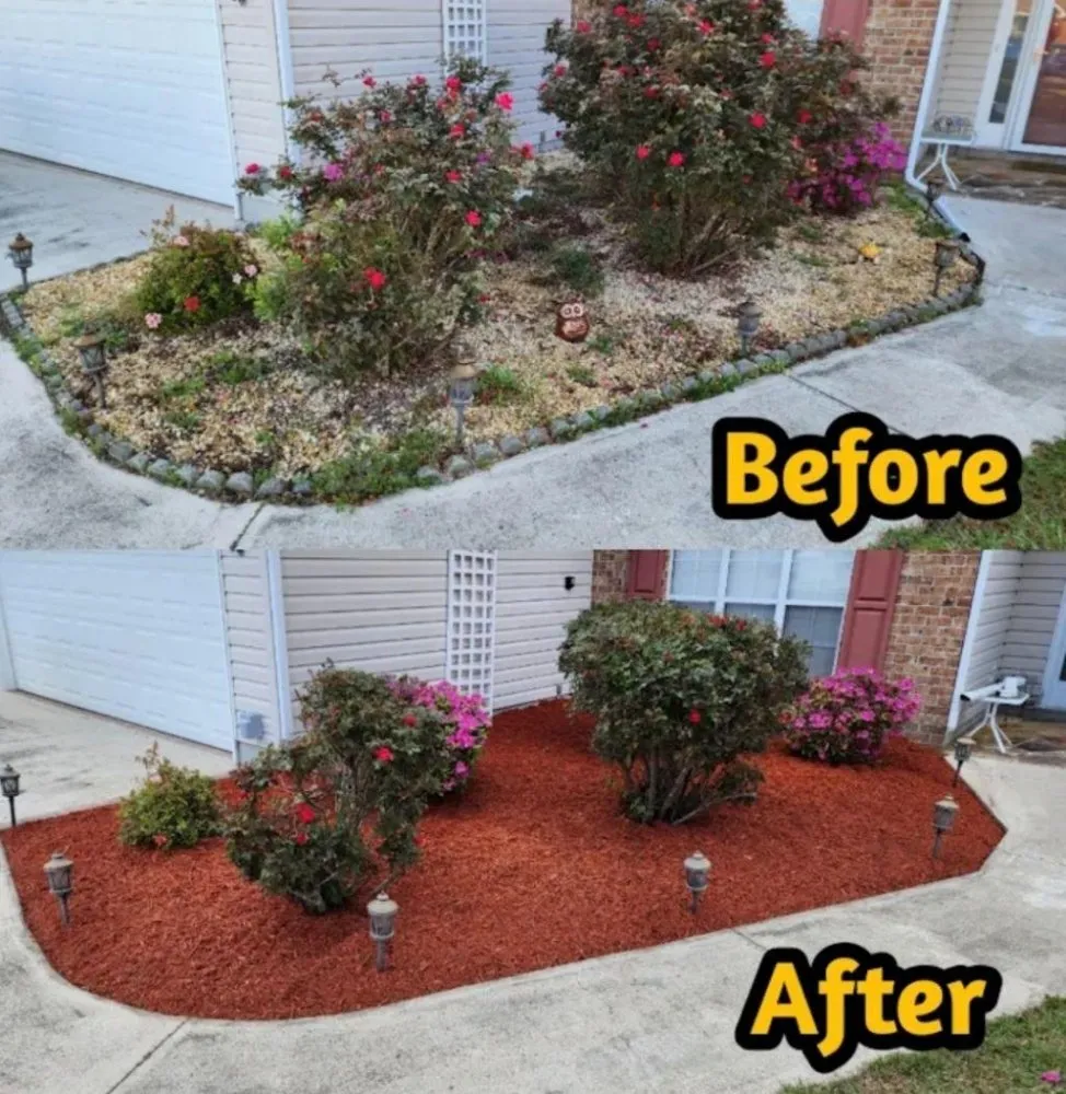 Reliable residential landscaping experts serving Myrtle Beach, SC - Leo landscape