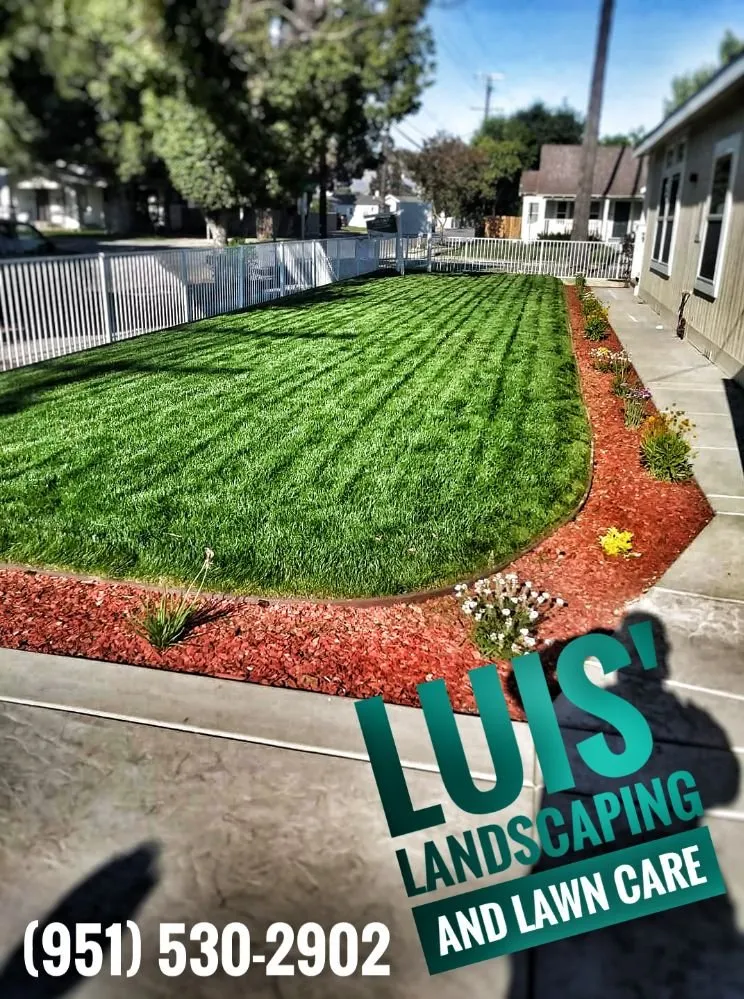 Trusted yard cleanup service experts serving Jurupa Valley, CA - Leo Landscaping