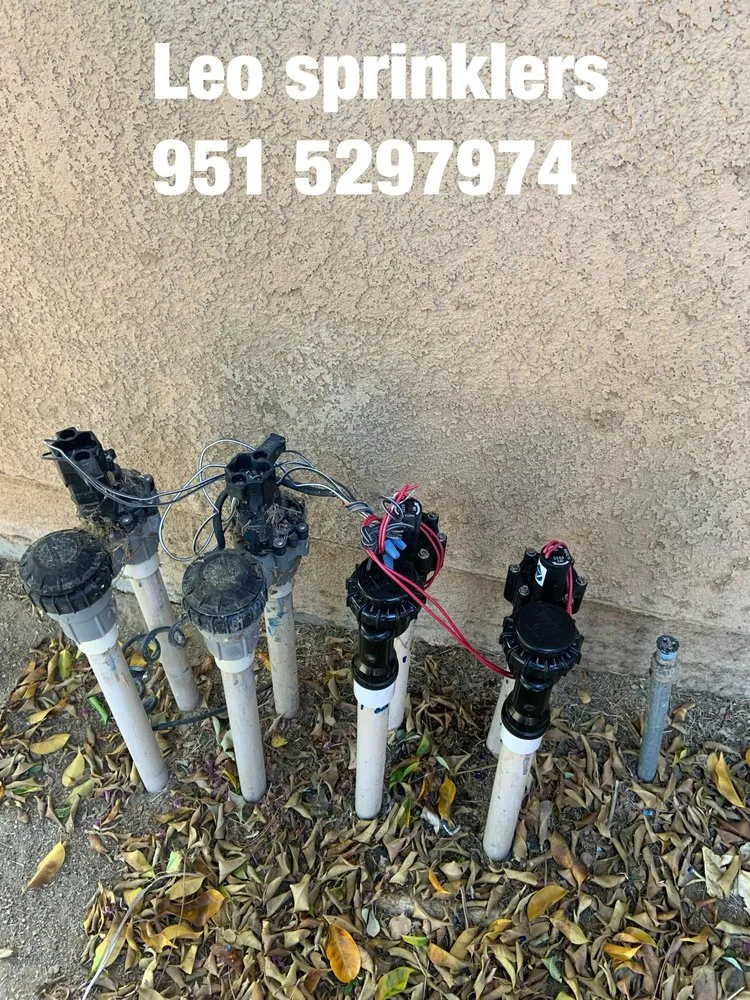 Top-rated yard maintenance experts serving Jurupa Valley, CA - Leo Landscaping