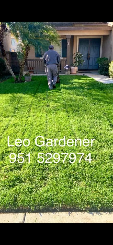 Affordable landscaping services in Jurupa Valley, CA - Leo Landscaping