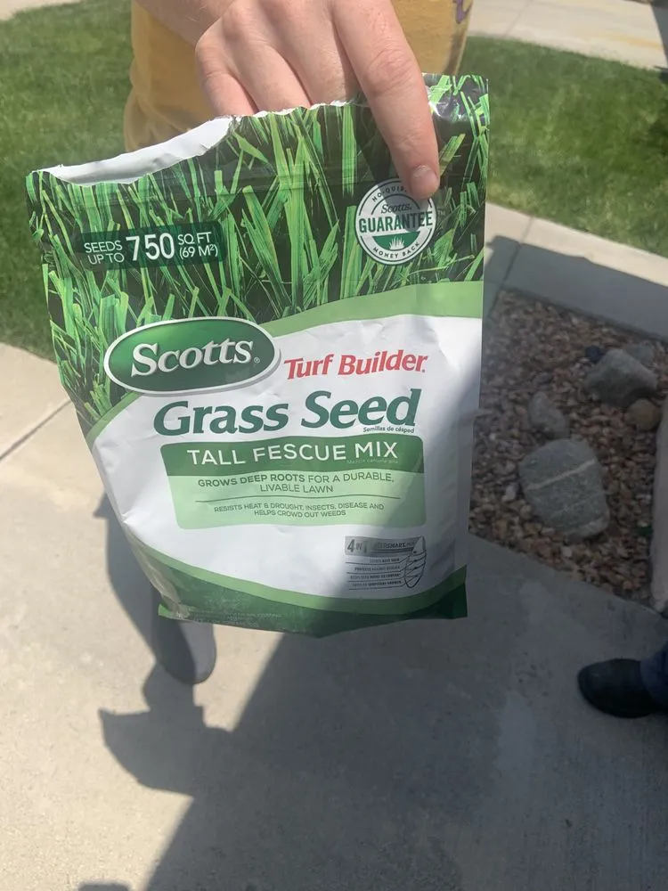 Professional yard maintenance experts serving Jurupa Valley, CA - Leo Landscaping