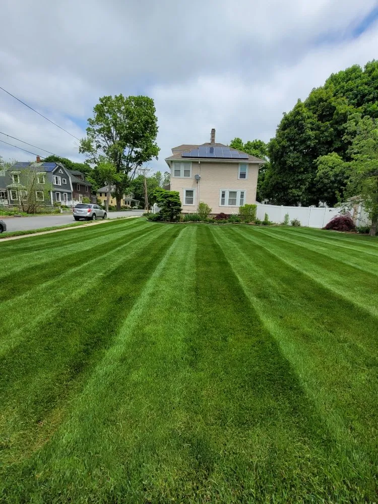 Affordable yard maintenance for residential properties in Haverhill, MA by Leo Lawn Care
