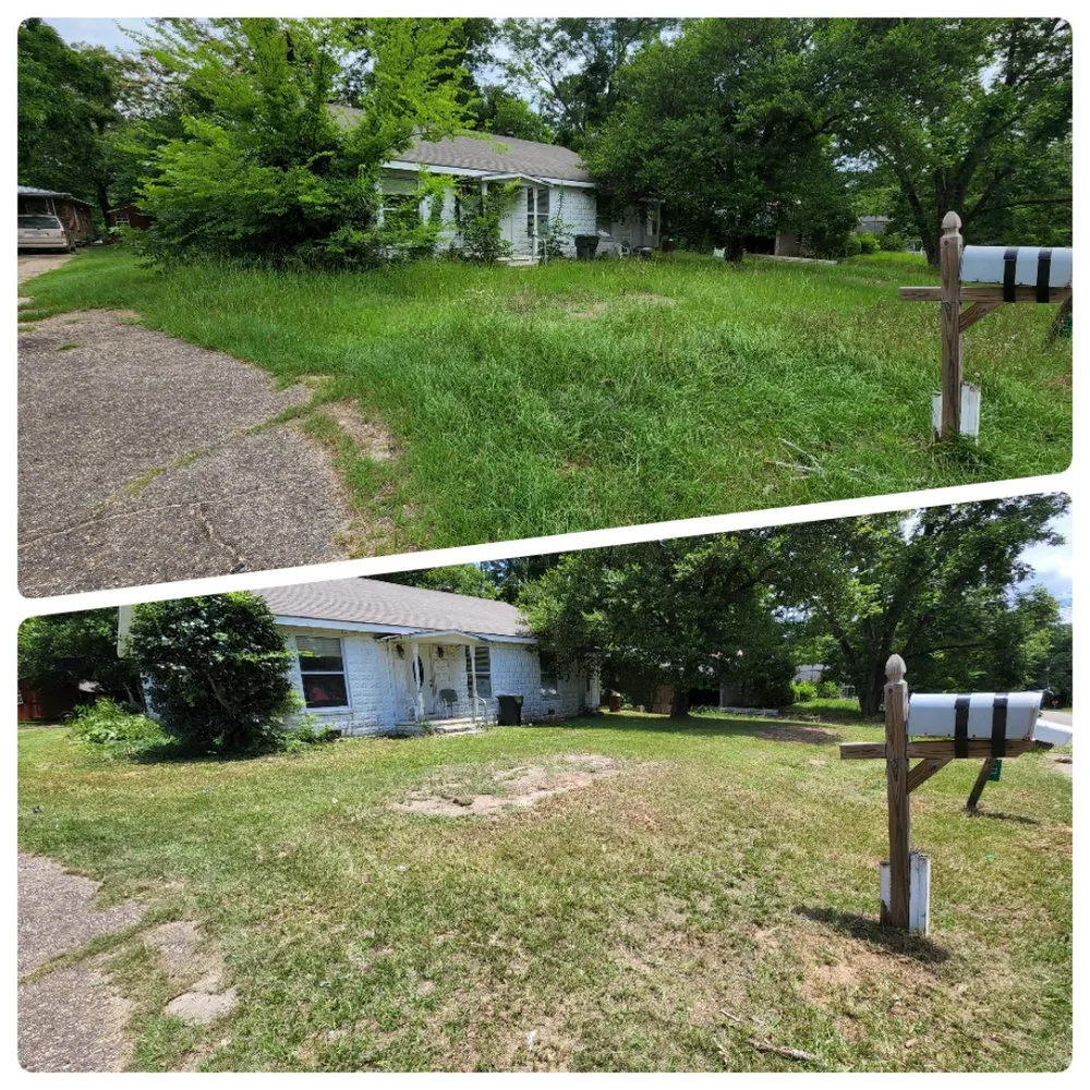 Expert lawn mowing service in Ozark, AL - LEO Lawn Care