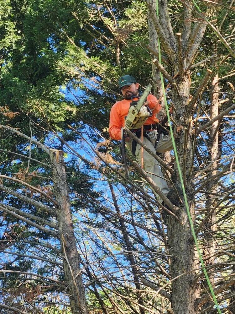 Top-rated outdoor landscaping for homes across Winchester, VA - Leo Lawn Service