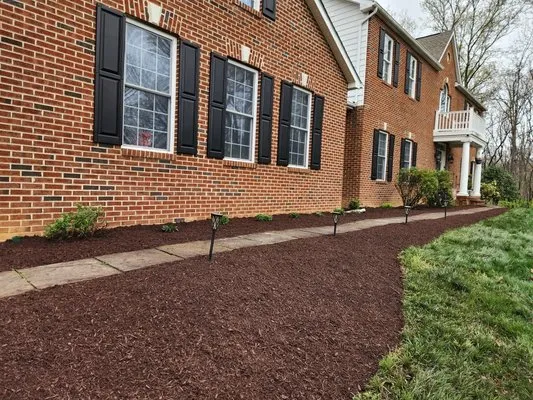 Leo Lawn Service Logo