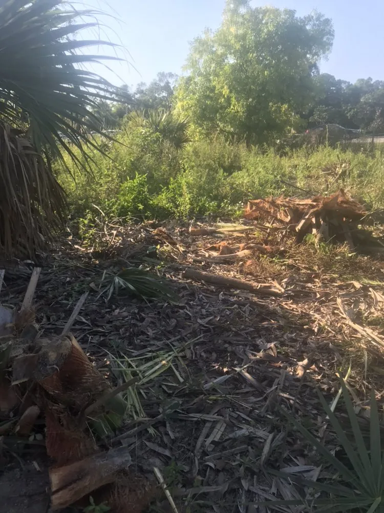 Expert yard cleanup service with custom design across Clewiston, FL - Leo Lerma Landscaping and more