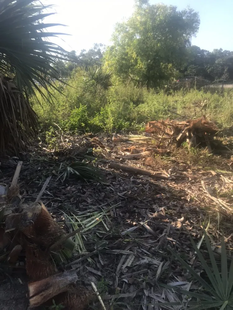 Professional yard cleanup service in Clewiston, FL by Leo Lerma Landscaping and more