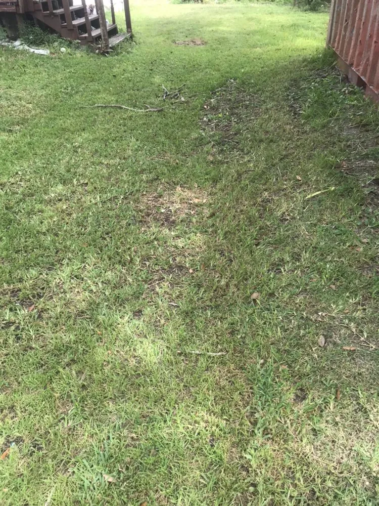 Professional landscape design in Clewiston, FL by Leo Lerma Landscaping and more