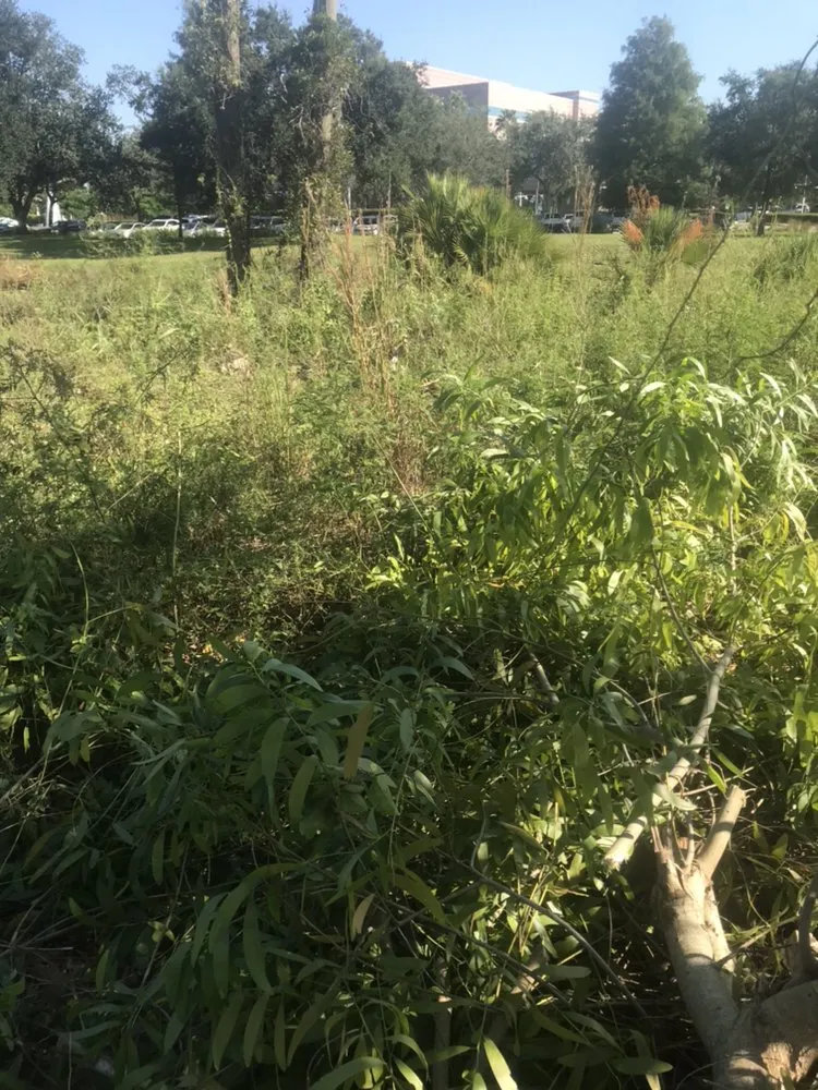 Reliable outdoor landscaping in Clewiston, FL by Leo Lerma Landscaping and more