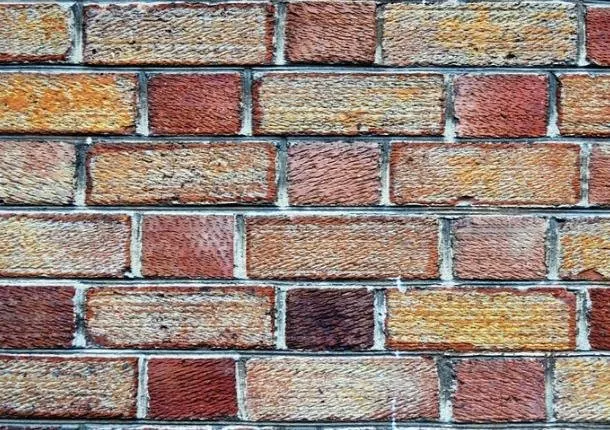 Top-rated landscaping services with custom design across Tucson, AZ - Leo Lion Landscaping & Masonry