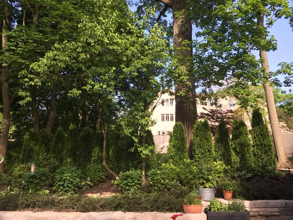 Local outdoor landscaping for residential properties in Northbrook, IL by Leo Orlando Landscaping