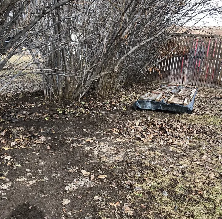 Local landscaping services for year-round maintenance across Belgrade, MT - Leo Property Care