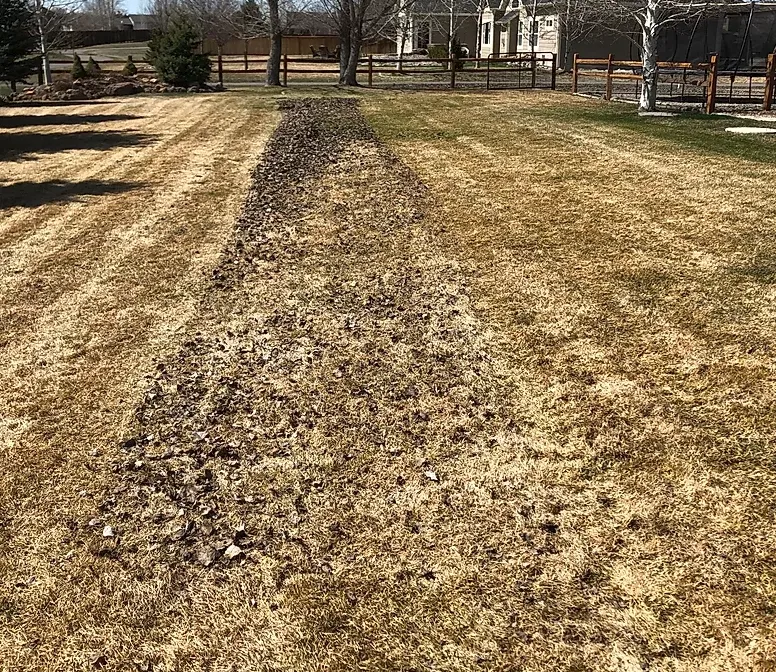 Trusted landscaping services experts serving Belgrade, MT - Leo Property Care