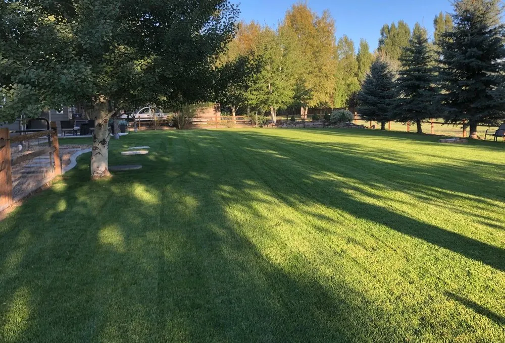 Affordable yard cleanup service for homes across Belgrade, MT - Leo Property Care