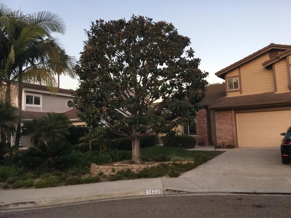 Local residential landscaping in Rancho Santa Fe, CA by Leo Quiroz Tree Service and Landscaping