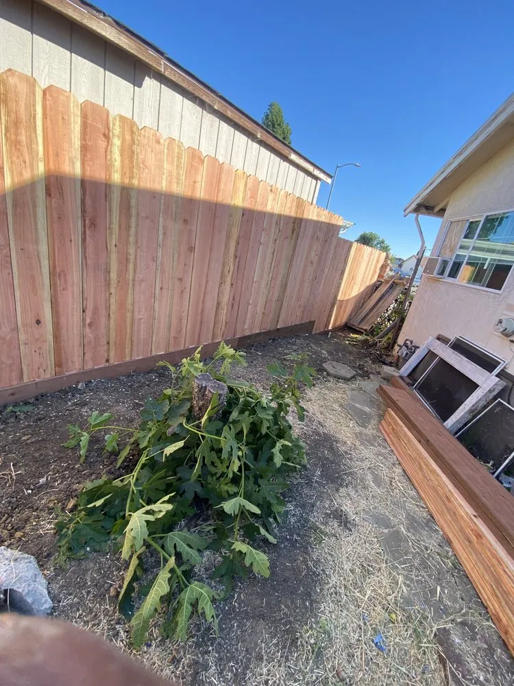 Trusted residential landscaping experts serving Concord, CA - Leo Service
