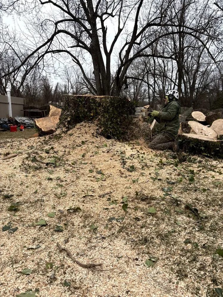 Professional yard maintenance experts serving Hatboro, PA - Leo Tree Landscaping