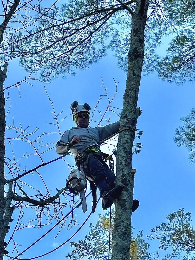 Professional landscape installation for residential properties across Hatboro, PA - Leo Tree Landscaping