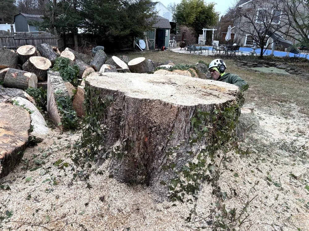 Expert outdoor landscaping in Hatboro, PA by Leo Tree Landscaping