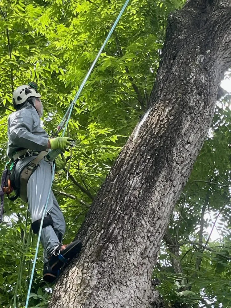 Custom outdoor landscaping experts serving Hatboro, PA - Leo Tree Landscaping