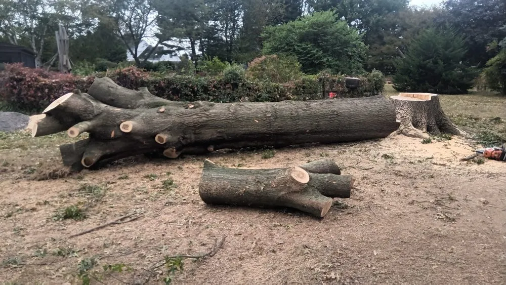 Local residential landscaping experts serving Hatboro, PA - Leo Tree Landscaping