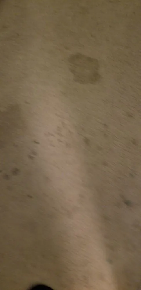 Affordable garden landscaping for outdoor upgrades across Rock Hill, SC - Leoaries