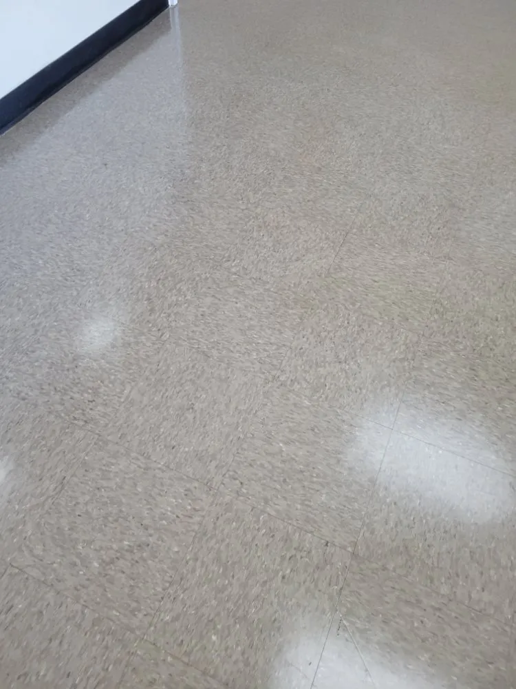 Reliable lawn care service in Rock Hill, SC by Leoaries