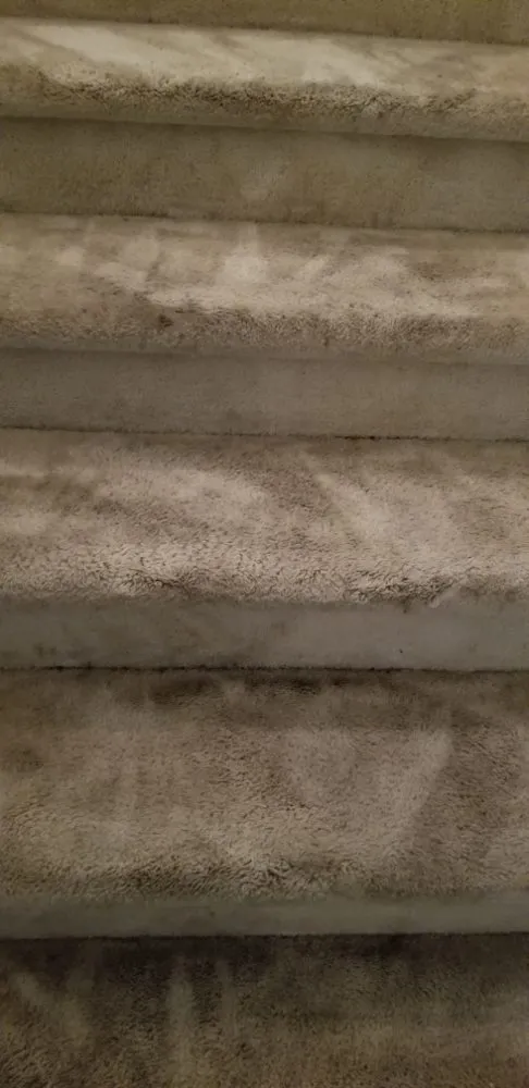 Local landscape installation for residential properties across Rock Hill, SC - Leoaries