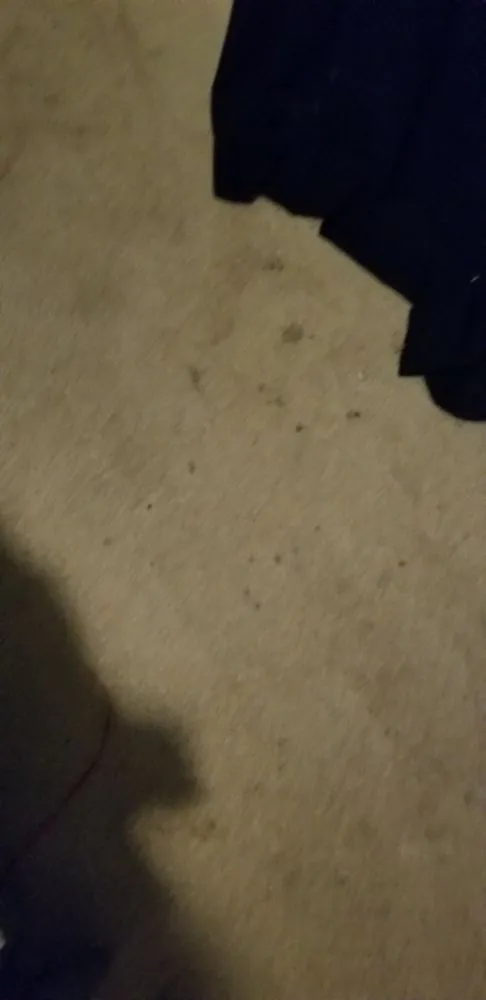 Affordable lawn mowing service for outdoor upgrades in Rock Hill, SC by Leoaries