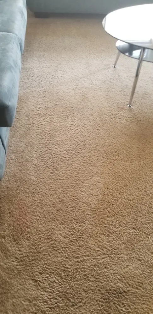 Professional lawn mowing service in Rock Hill, SC - Leoaries