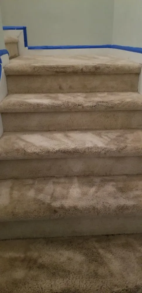 Top-rated outdoor landscaping in Rock Hill, SC by Leoaries