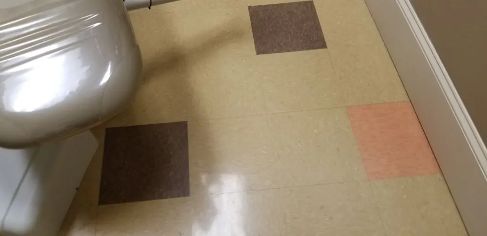 Affordable landscaping services for beautiful yards across Rock Hill, SC - Leoaries