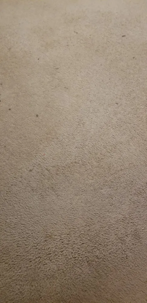 Expert lawn mowing service for beautiful yards across Rock Hill, SC - Leoaries