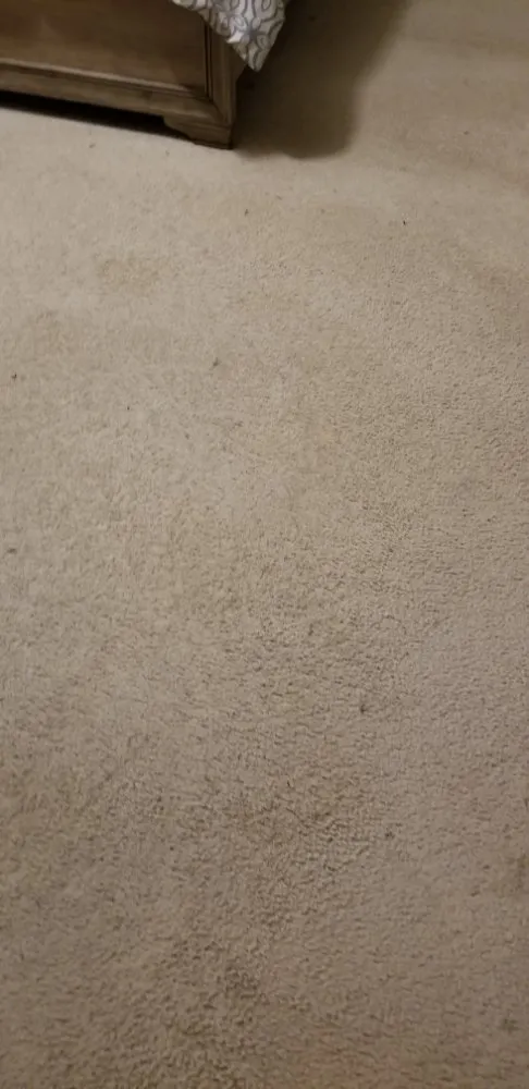 Custom landscape design in Rock Hill, SC by Leoaries