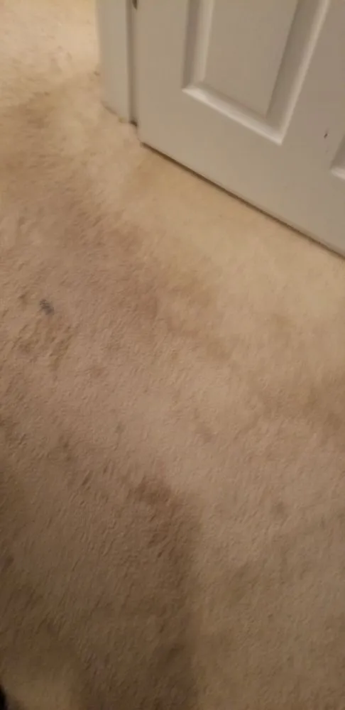 Custom yard maintenance in Rock Hill, SC - Leoaries