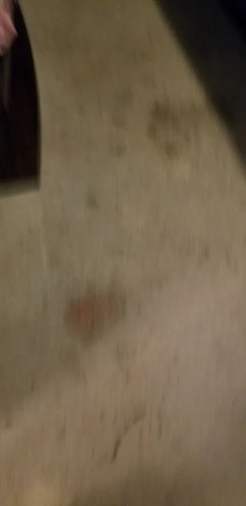 Top-rated landscape design in Rock Hill, SC - Leoaries