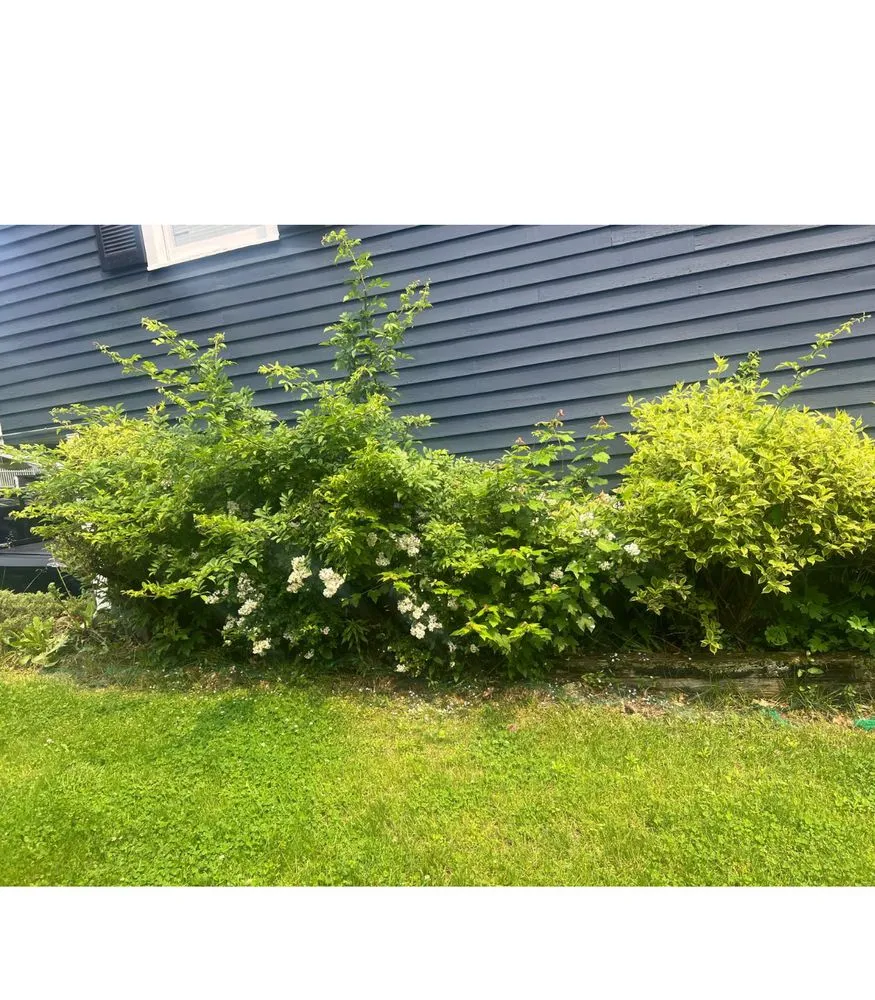 Reliable garden landscaping in Leominster, MA by Leominster