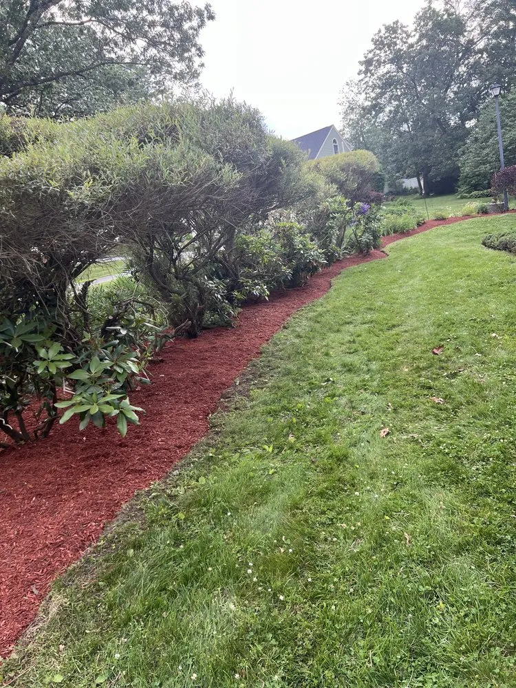 Expert yard cleanup service for year-round maintenance across Leominster, MA - Leominster