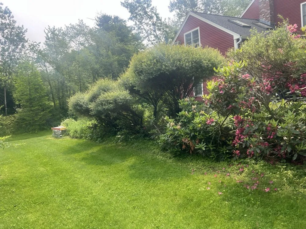 Reliable yard cleanup service near you in Leominster, MA by Leominster