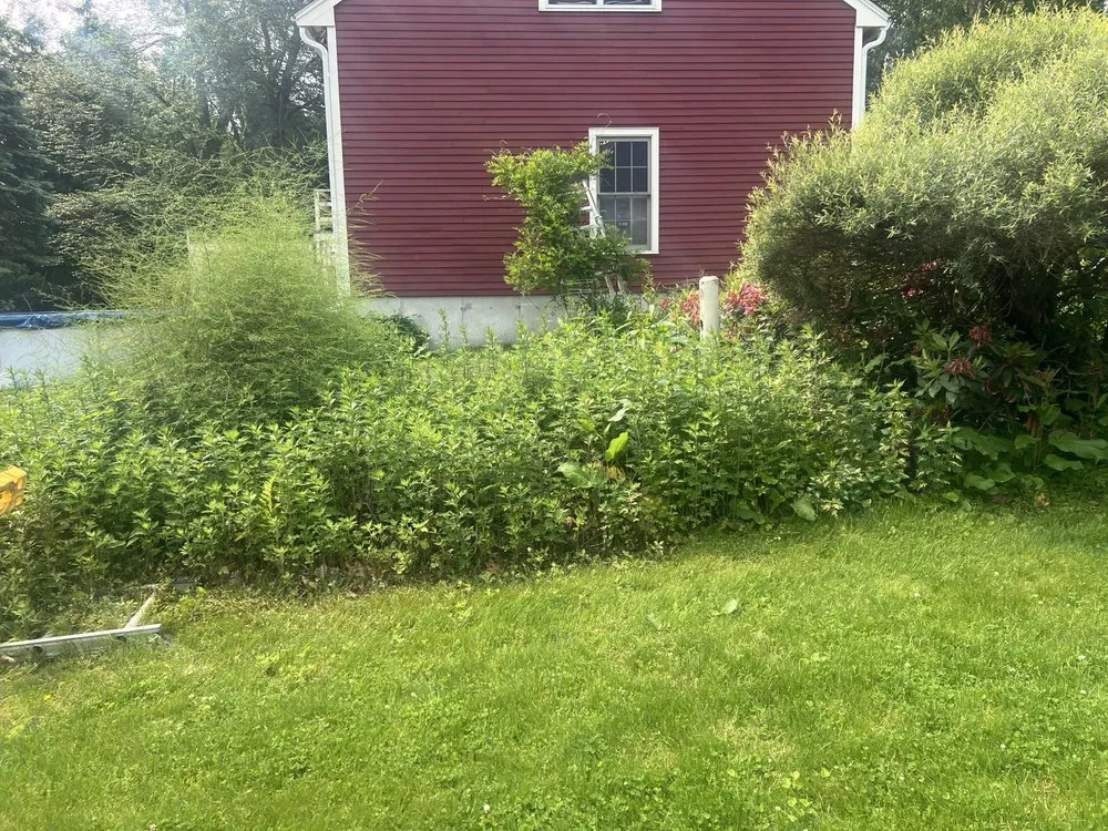 Trusted landscape design for beautiful yards across Leominster, MA - Leominster