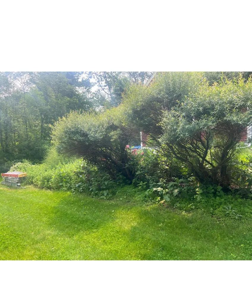 Professional lawn mowing service experts serving Leominster, MA - Leominster