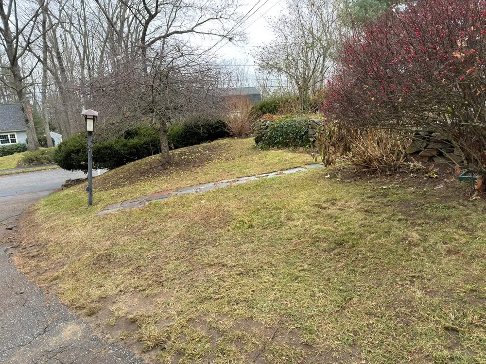 Affordable landscaping services for residential properties across Leominster, MA - Leominster