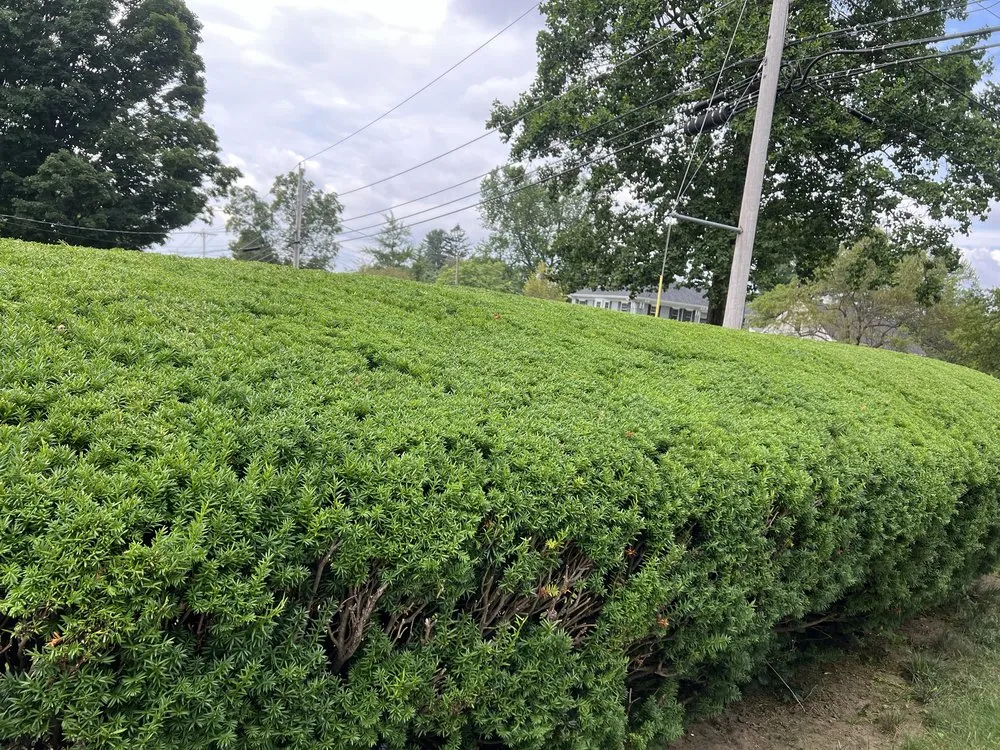 Reliable landscaping services for outdoor upgrades in Leominster, MA by Leominster