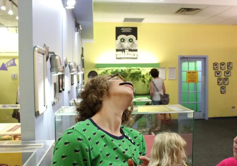 Top-rated landscaping services for year-round maintenance across Leominster, MA - Leominster