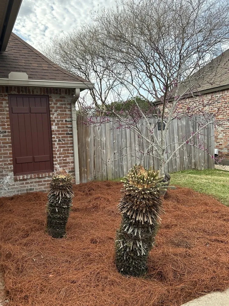 Local yard cleanup service with custom design across Baton Rouge, LA - Leon Donald Landscaping & Lawn Maintenance