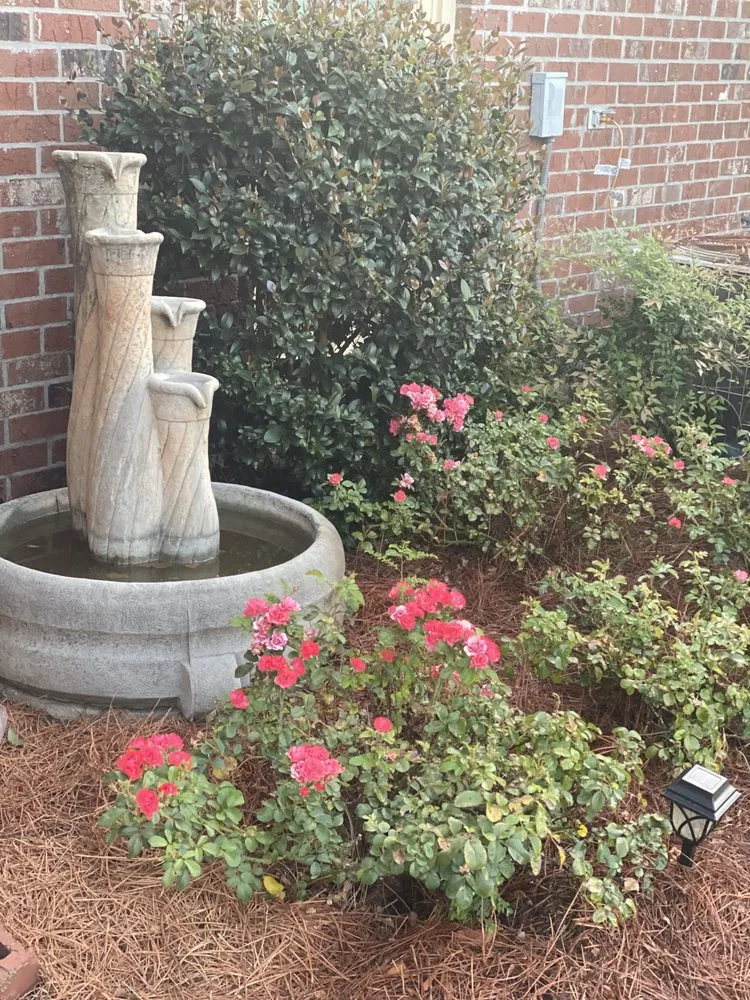 Top-rated yard maintenance for year-round maintenance in Baton Rouge, LA by Leon Donald Landscaping & Lawn Maintenance