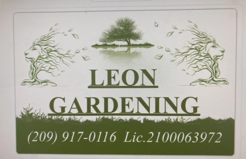 Professional landscape installation for residential properties in Merced, CA by Leon Gardening
