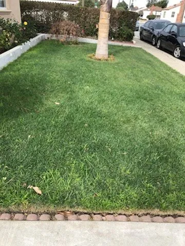 Local landscaping services for residential properties in East Palo Alto, CA by Leon Gardening Services