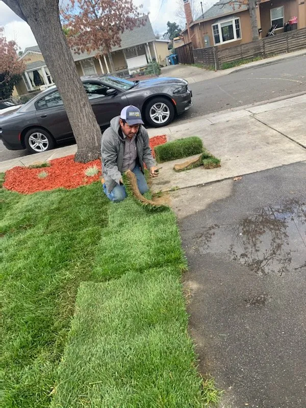 Trusted lawn care service in East Palo Alto, CA by Leon Gardening Services