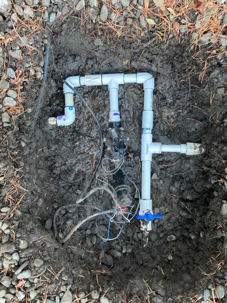 Top-rated landscape installation in East Palo Alto, CA - Leon Gardening Services